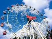 �T���g�s�A���[���h�̎ʐ^2