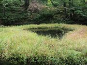 ���a�r�̎ʐ^3