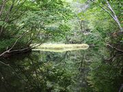 ���a�r�̎ʐ^4