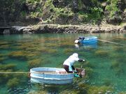 ��E�o���̎ʐ^3