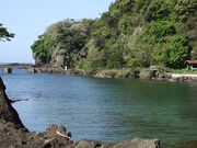 ��E�o���̎ʐ^4