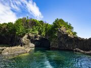 �������̎ʐ^2