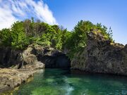 �������̎ʐ^3