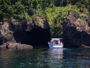 �������̎ʐ^4