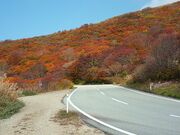 �卲�n�X�J�C���C���̎ʐ^4