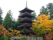 ���鎛�̎ʐ^2