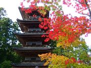 ���鎛�̎ʐ^3