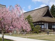 ���鎛�̎ʐ^4