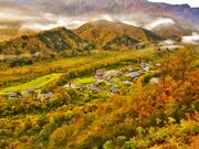 �}�ܓ��i������Ƃ����j�̎ʐ^4