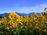 ���o�����̎ʐ^3