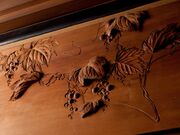 ���J���̎ʐ^4