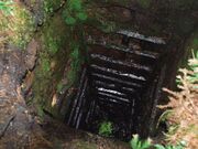 ����Ζ������i����̂��������j�̎ʐ^2