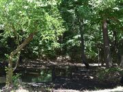 ����Ζ������i����̂��������j�̎ʐ^3