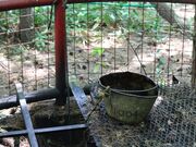 ����Ζ������i����̂��������j�̎ʐ^4