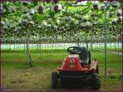 �������Ripifarm �������􉀂̎ʐ^2