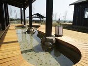 ��Ђ����䋽����@������̓��̎ʐ^2