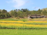 ���򍂌��n�[�o���p�[�N�̎ʐ^2