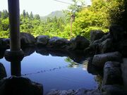 ��_�y����̎ʐ^3