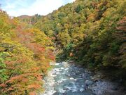 �鋫�H�R���̎ʐ^3