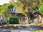 ��14�ԎD���@��y���̎ʐ^3