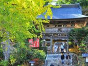 ��21�ԎD���@�������̎ʐ^2