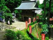 ��21�ԎD���@�������̎ʐ^3