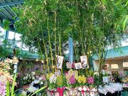 ����݂فi�m���W���فj�̎ʐ^3