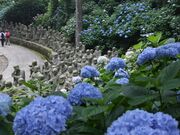 66ԎD@_ӎig鋫_EVj̎ʐ^4