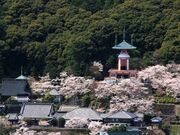 ��23�ԎD���@�򉤎��̎ʐ^2