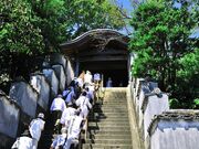 ��23�ԎD���@�򉤎��̎ʐ^4