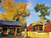 ��5�ԎD���@�n�����̎ʐ^1