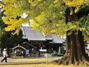 ��5�ԎD���@�n�����̎ʐ^2