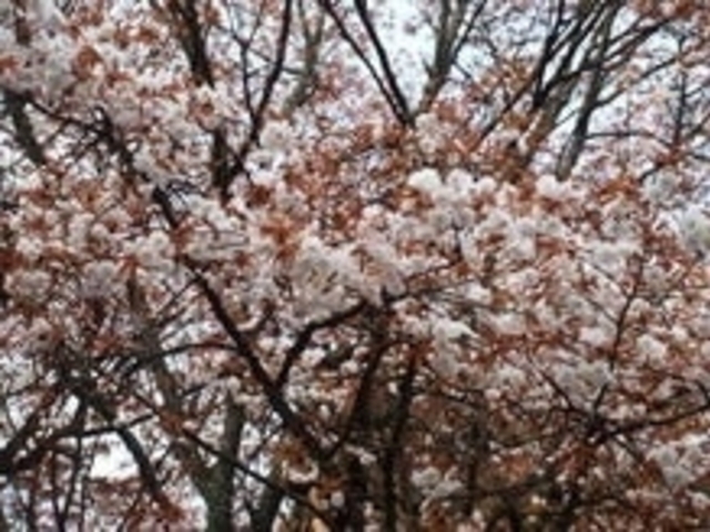 �����P�����