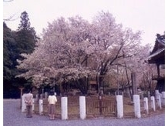 �����P�����