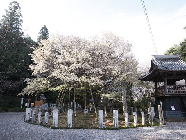 �����P������̎ʐ^1