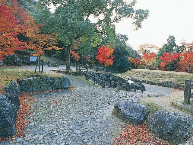 �M�������ِ�