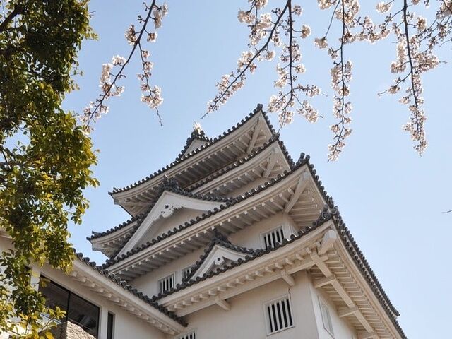 �n������