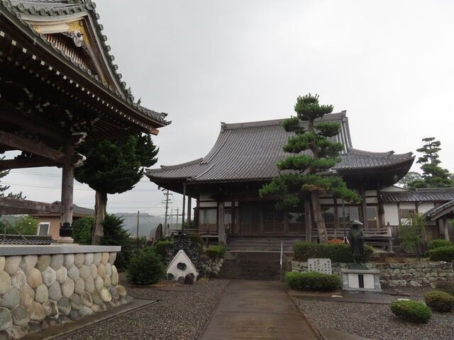 �����@���~�̕楗Ԍ���