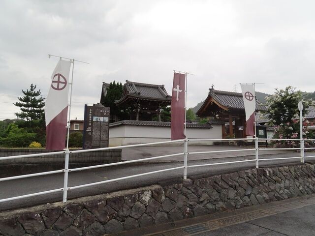 �����@���~�̕楗Ԍ���