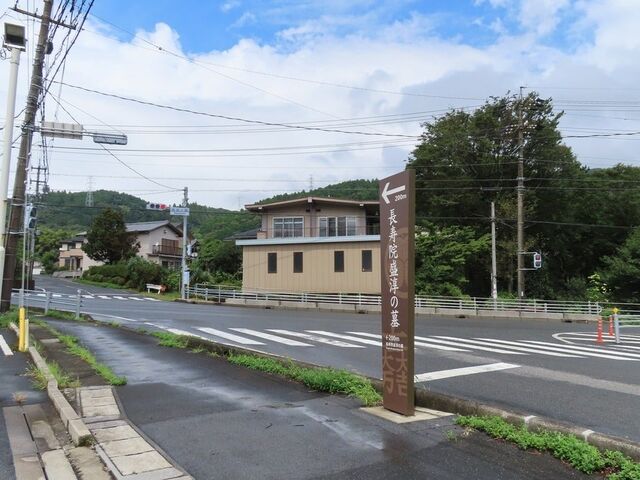 �����@���~�̕楗Ԍ���