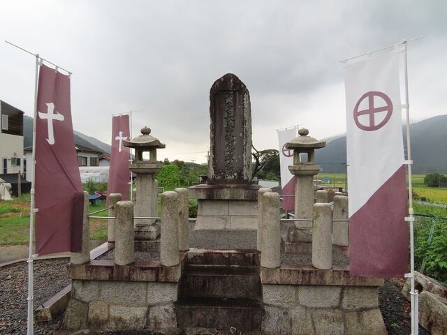 �����@���~�̕楗Ԍ����̎ʐ^1