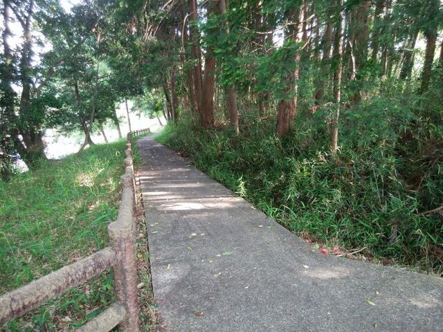 �G����@���ÖL�v��@�����Â̑ނ����䂩��̒n��