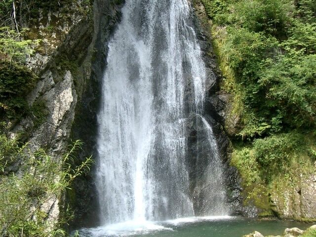 ���q�̑�̎ʐ^1