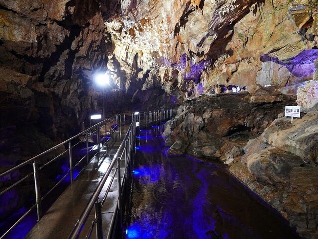 ��ˑ�ߓ����̎ʐ^1