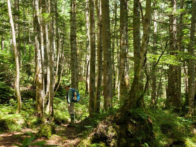 ��ƎR�[�ܐF�����̐X�̎ʐ^1