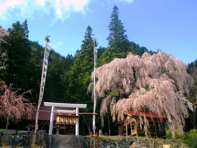 ���n��_���_�Ў}������̎ʐ^1