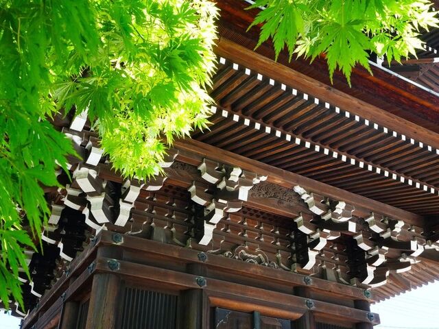 �Ή��R ��ˍ�����