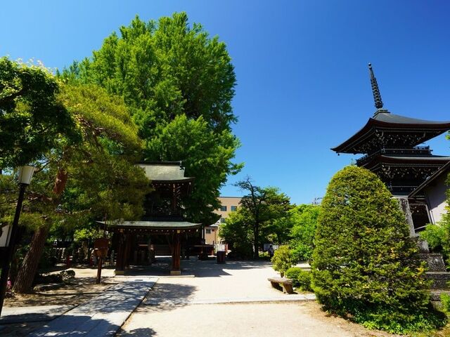 �Ή��R ��ˍ�����