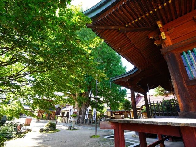 �Ή��R ��ˍ�����