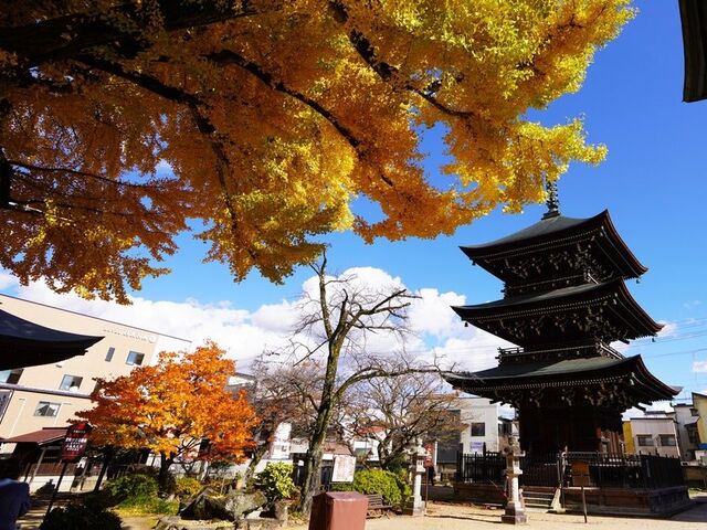 �Ή��R ��ˍ�����